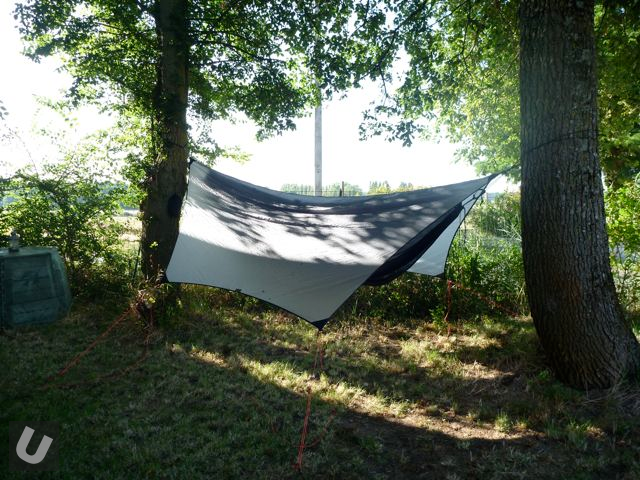 unsponsored_maccat_ 1