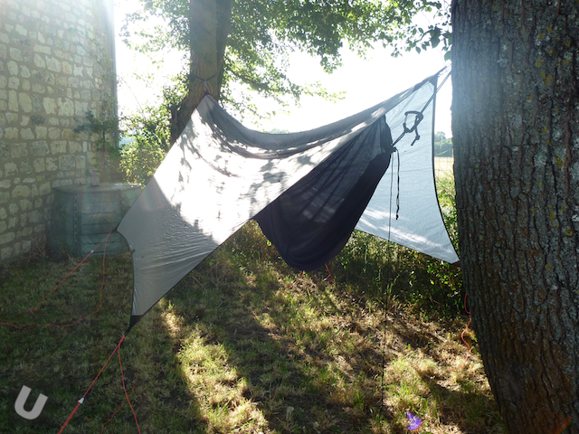 unsponsored_maccat_ 2