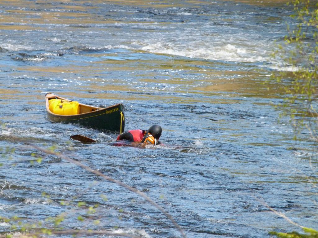 P1030250_zps9ff71e4b