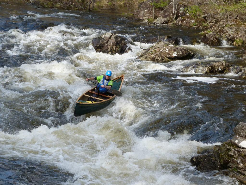 P1030287_zps3764cdfb