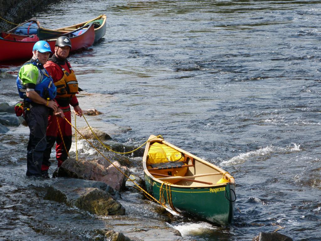 P1030746_zps345deb85