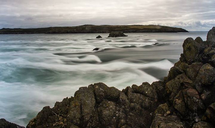 10580068_10152617729747427_5271830596322481426_n