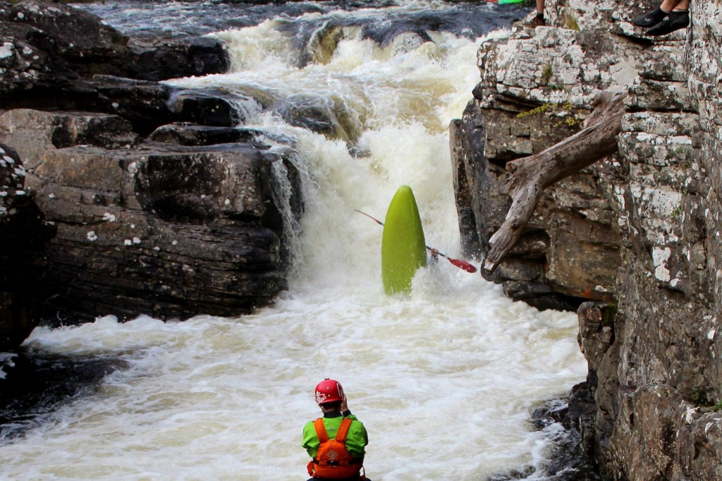 10807330_10205480022548695_573156120_o