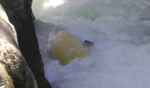 Screen Shot 2015-02-01 at 08.37.37