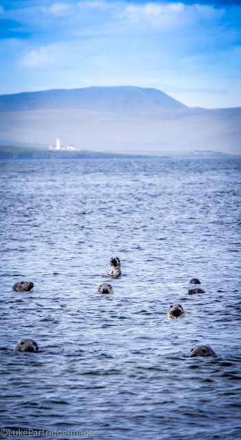 Kayaking the Pentland Firth