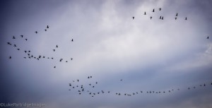 Kayaking The Pentland Firth