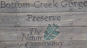 The Jewel of Virginia Whitewater