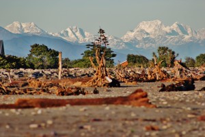 Immigration With A Kayak
