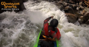 Pigeon Dries - Nowhere To Land