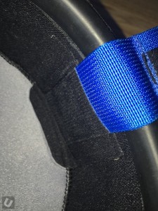 Palm Orbit - First Look