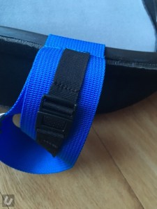 Palm Orbit - First Look