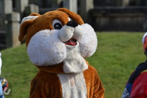 National Student Rodeo - Rodeo Rabbit 2016