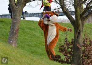 National Student Rodeo - Rodeo Rabbit 2016