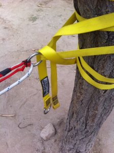 Whetman Equipment Anaconda And Ring Pull Prussiks