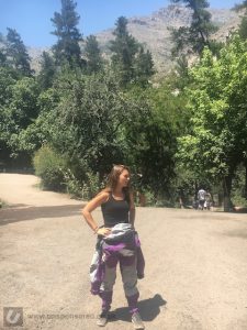 Immersion Research Shawty