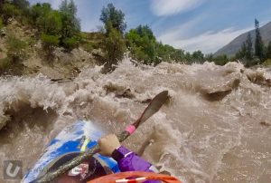 Immersion Research Shawty