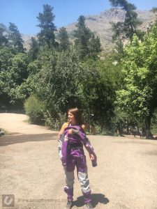 Immersion Research Shawty