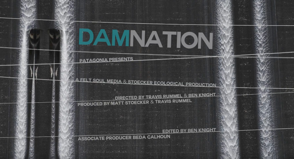 DamNation Trailer