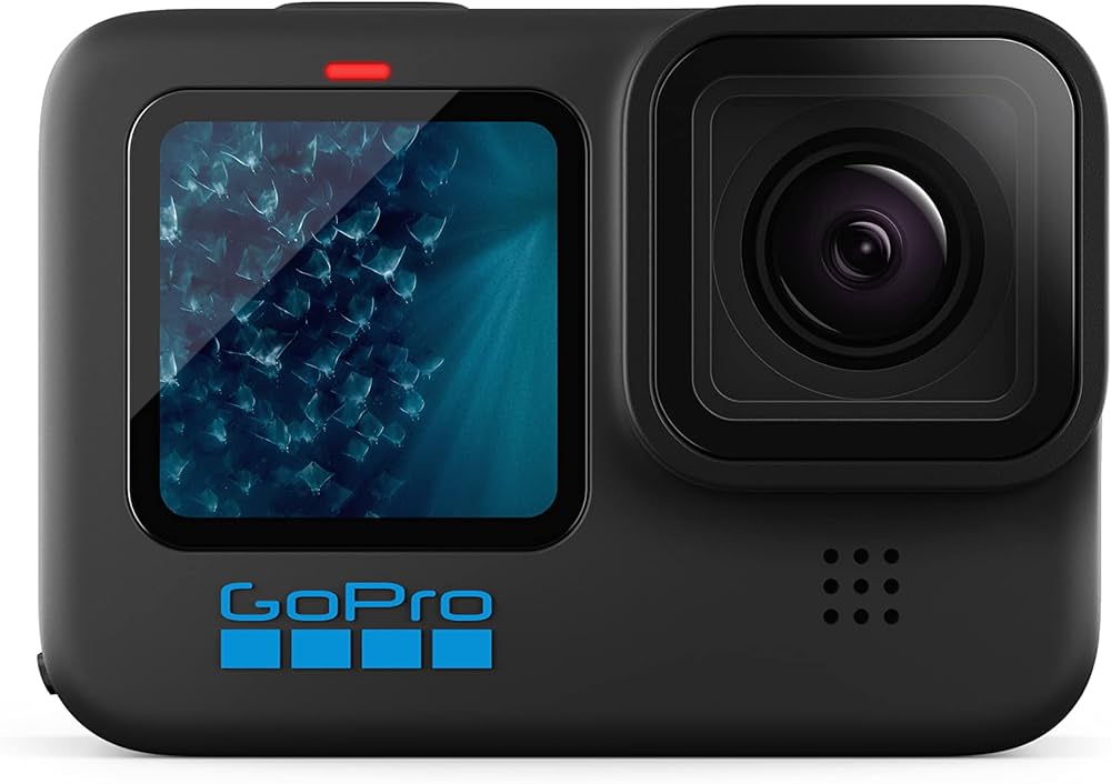 What Memory Card For The GoPro Hero 11?