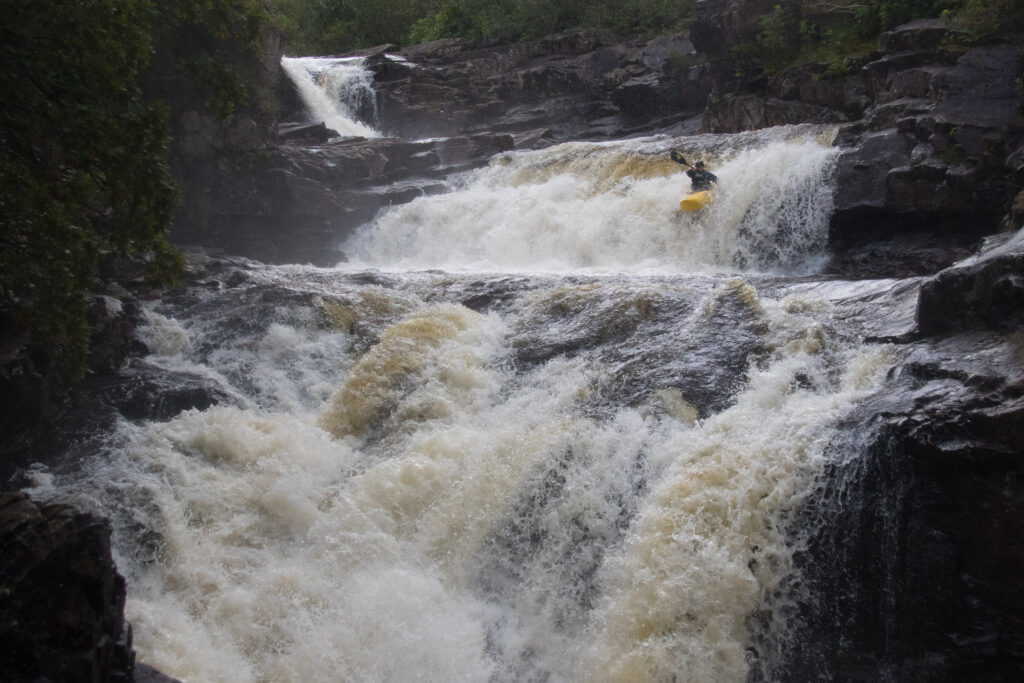 unsponsored Q&A Series - Cameron Forry