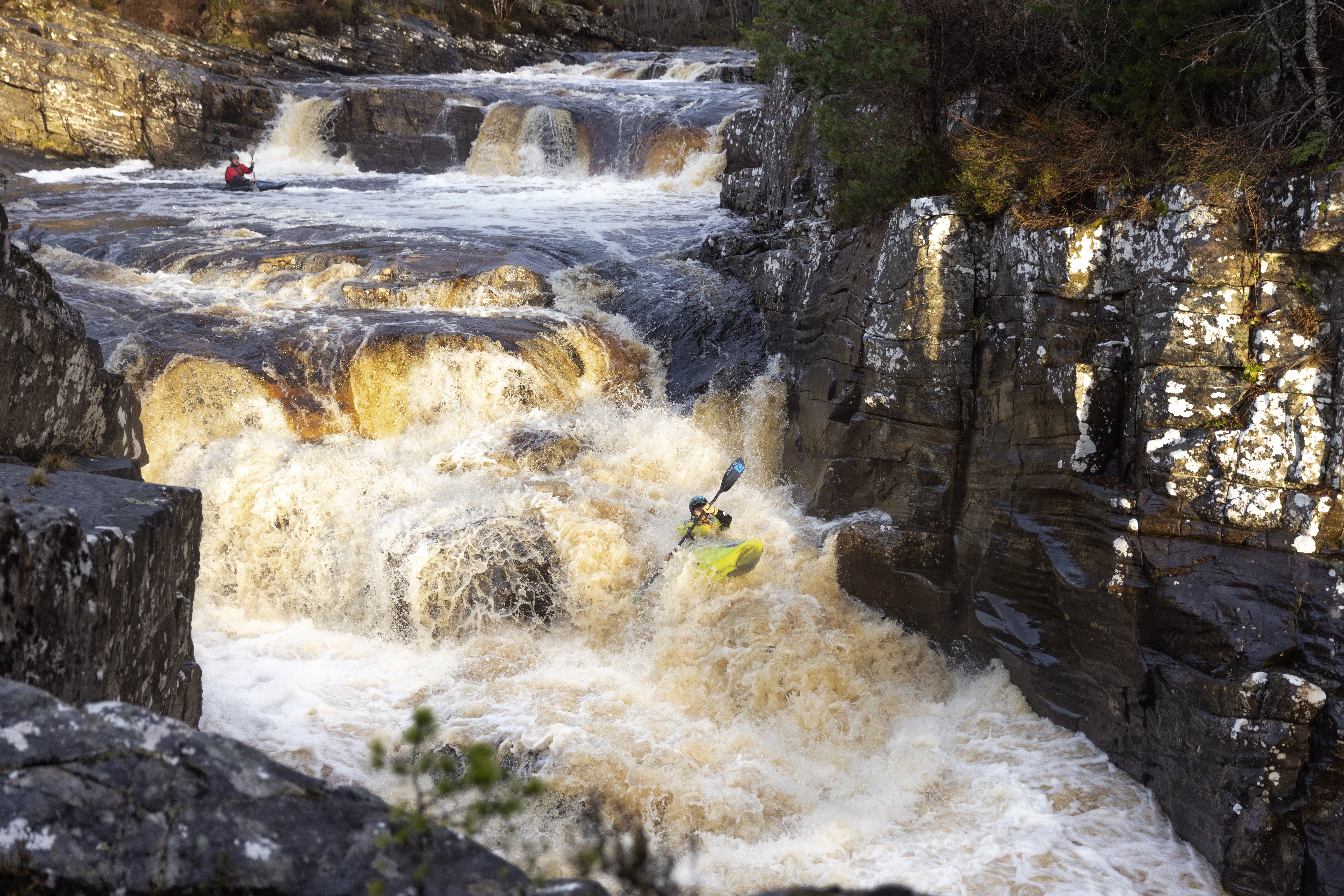 Unsponsored Q&A Series - Will Copestake